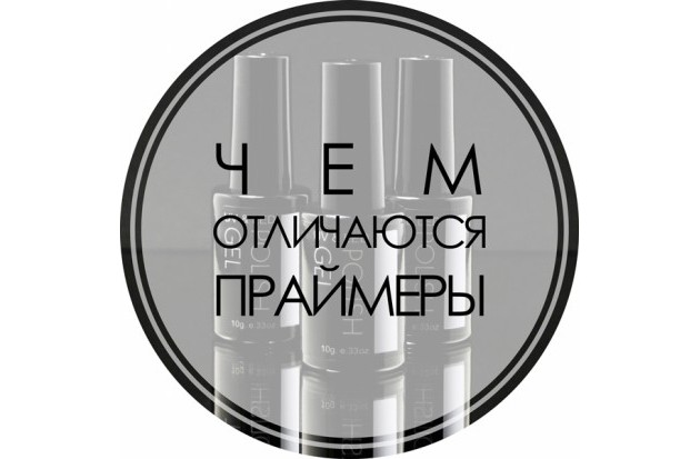 Чем отличаются праймеры